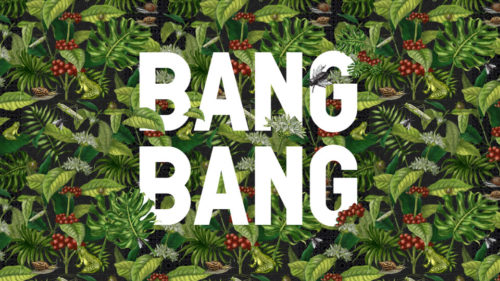 Bang Bang at the Rifle Club