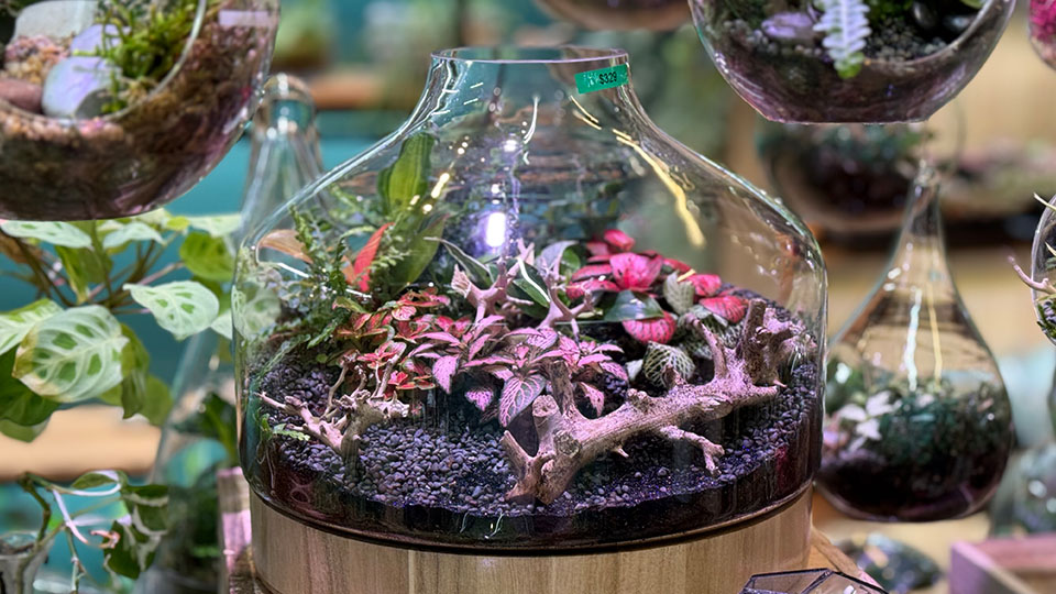 Shop stories: Explore Greenlab Collective in Elsternwick Village