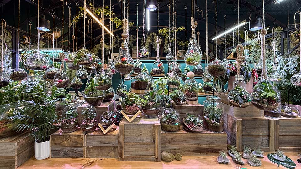 Shop stories: Explore Greenlab Collective in Elsternwick Village