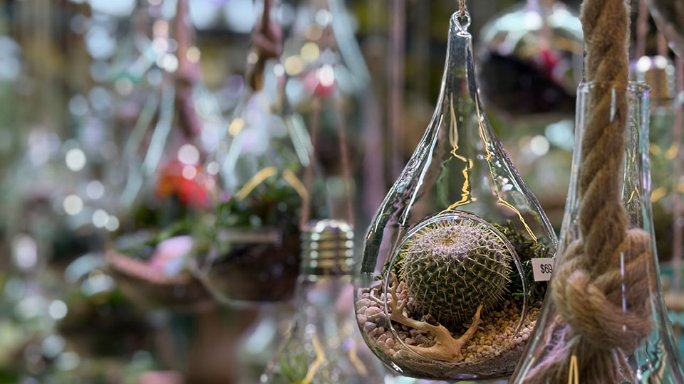 Shop stories: Explore Greenlab Collective in Elsternwick Village