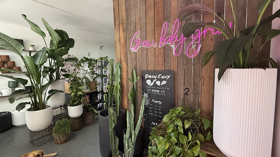 Green Envy store interior